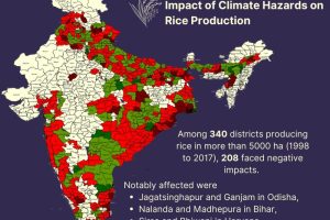 impact-of-CC-on-rice-in-India