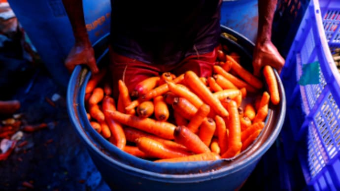 India’s price-fixing probe of global seed firms sparked by carrot farmers